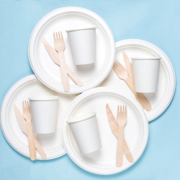 Heavy Duty Compostable Dinnerware – Multiple Sizes – Bulk